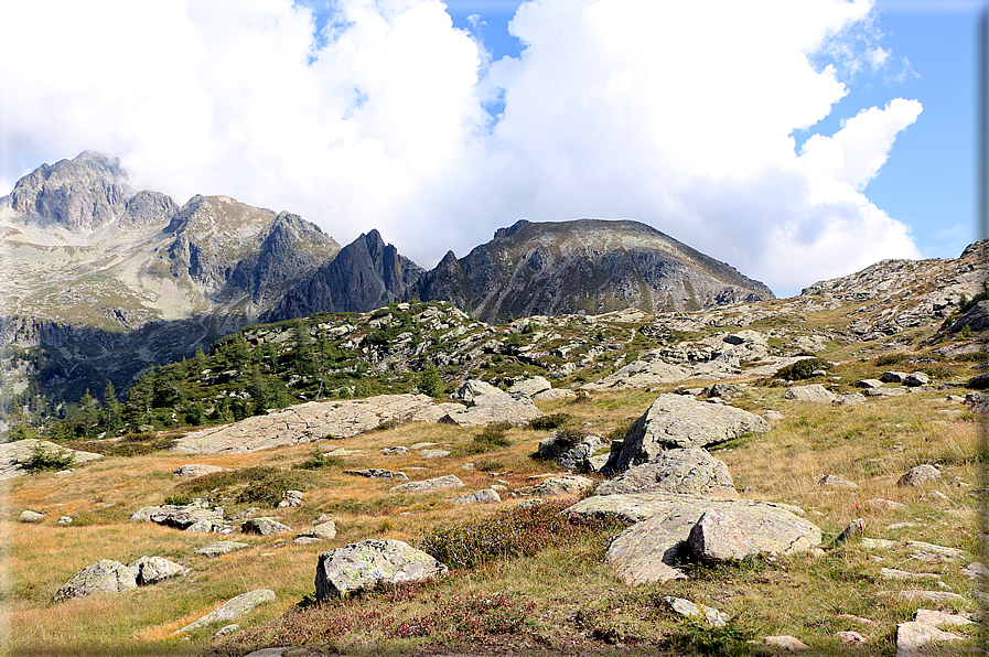 foto Da Passo 5 Croci alla Forcella Magna